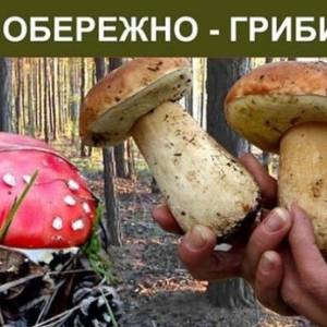 Пам’ятка для населення!
